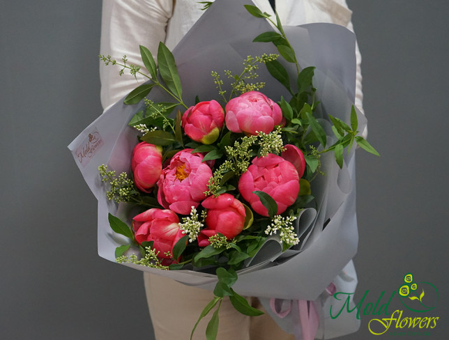 Bouquet of Coral Dutch Peonies photo